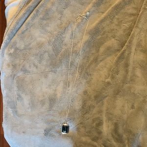 Touchstone crystal long necklace